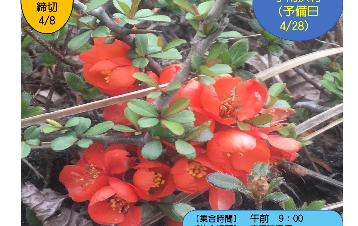 2404春ジオ山歩バーナー