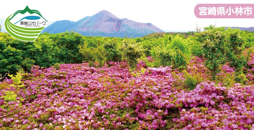 バーナー用大幡山登山ツアー_チラシ訂正 (002)