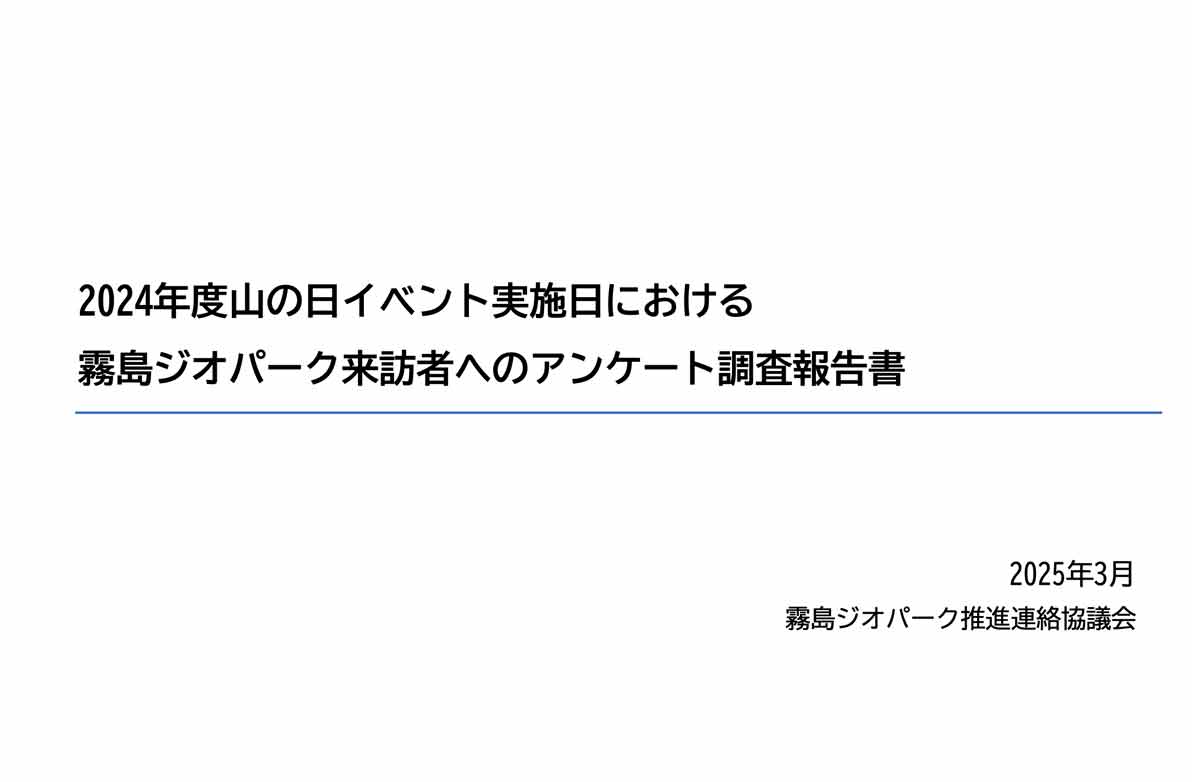 その他公表資料1