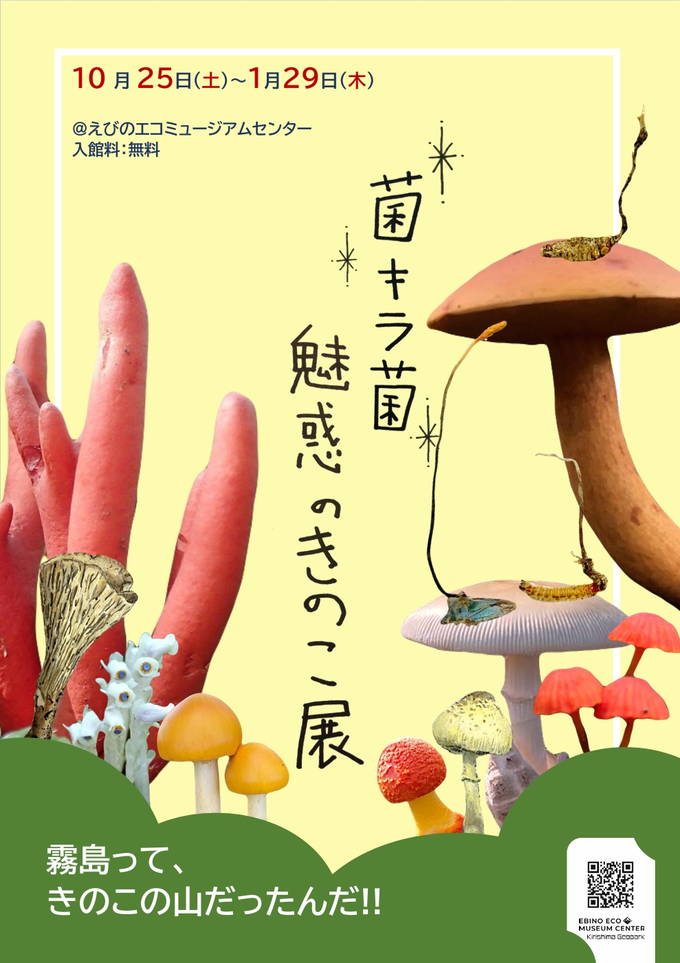 菌キラ菌 魅惑のきのこ展 - 霧島ジオパーク