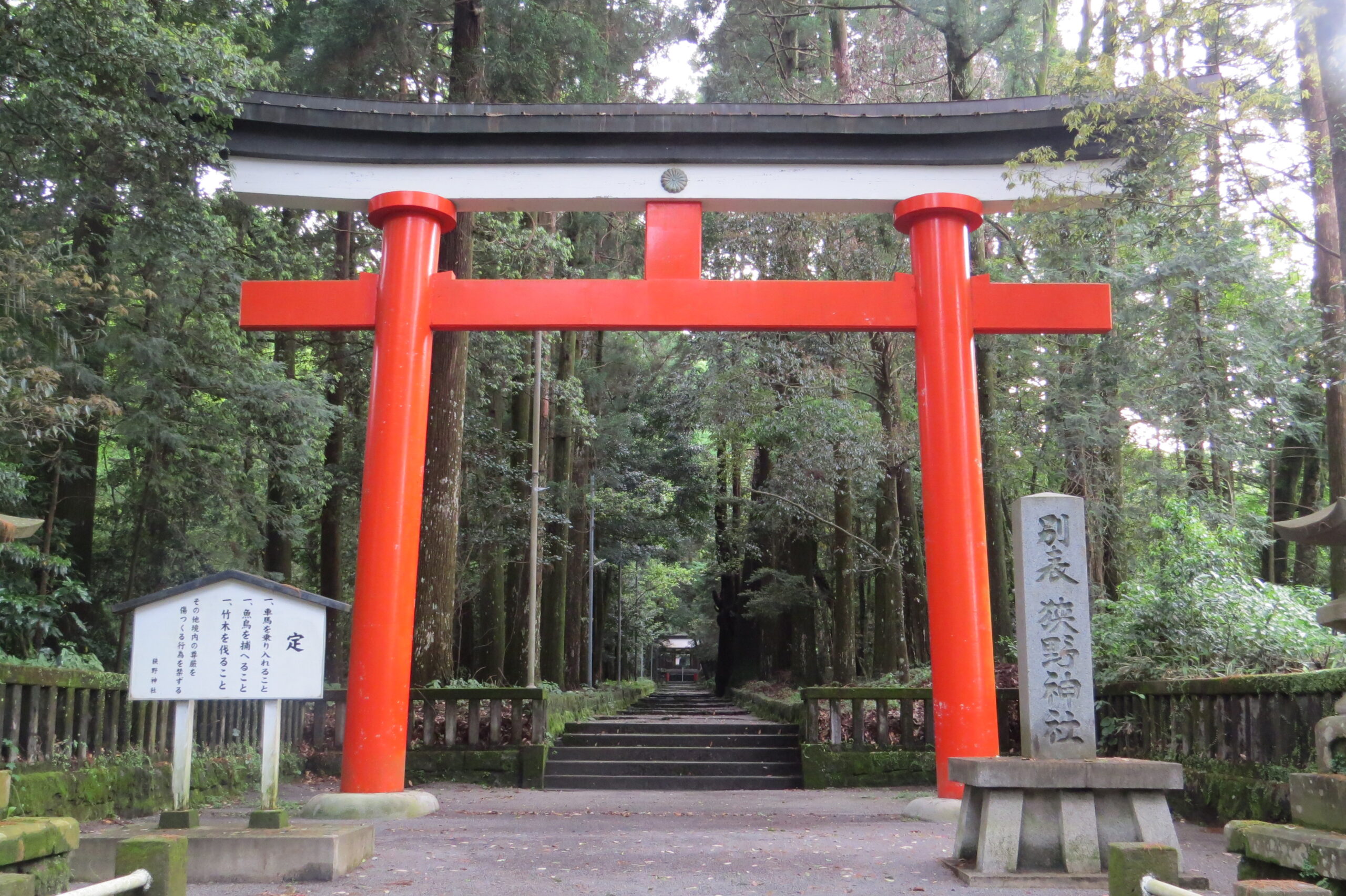 C-Tk03 狭野神社＿鳥居（表参道）