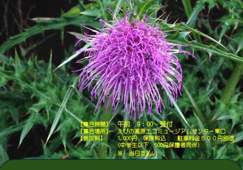 2510秋山歩えびの_page-0001