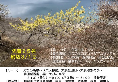 2６03マンサク山歩_page-0001