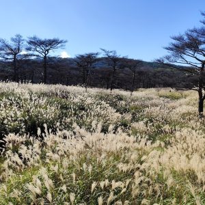 571336174_1247019947467763_551347865373086600_n