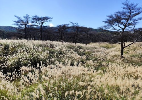 571336174_1247019947467763_551347865373086600_n