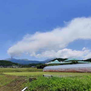 IMG_20250628_123355