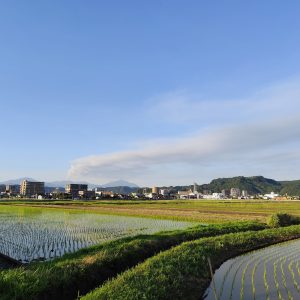 IMG_20250628_182532
