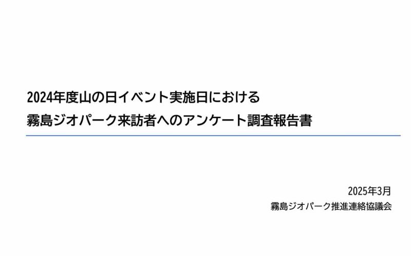 その他公表資料1