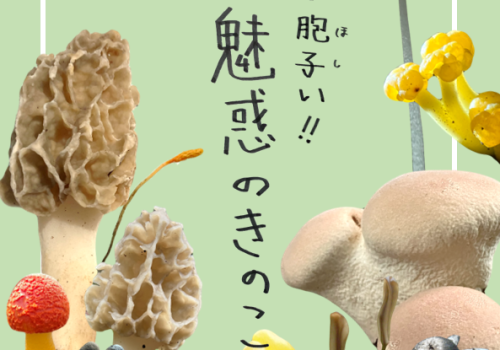 企画展-見て胞子い‼魅惑のきのこ展