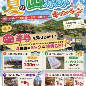 夏の山涼みキャンペーンチラシ